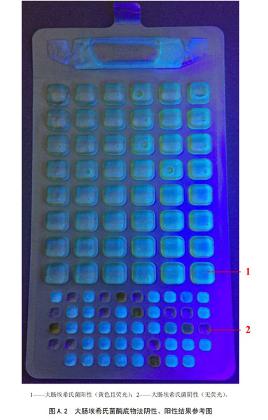 大肠埃希氏菌酶底物法阴性、阳性结果参考图
